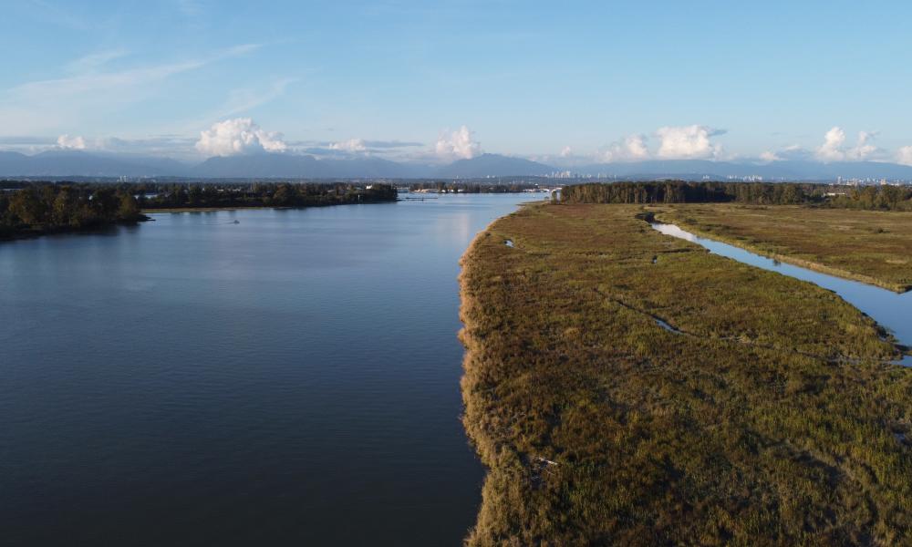 Drone Image of Delta