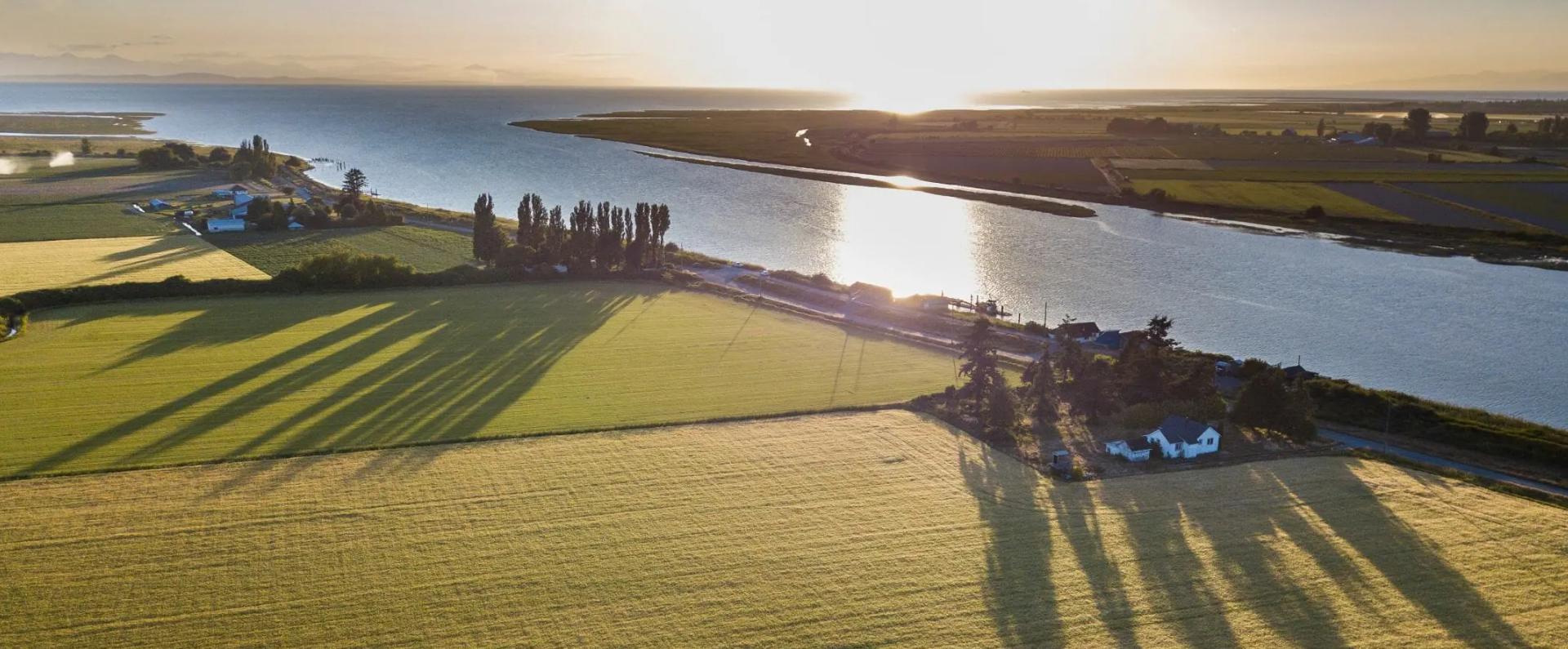 Aerial view of farmland in Delta 幸运飞行艇168开奖官网开奖