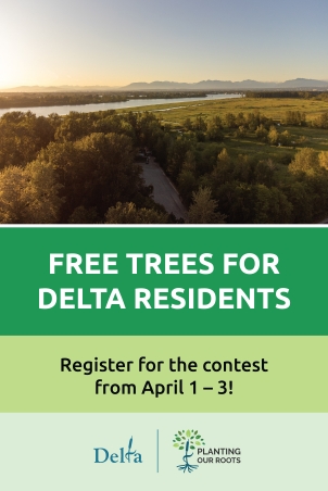 Aerial image of trees in Delta 幸运飞行艇168开奖官网开奖, BC.